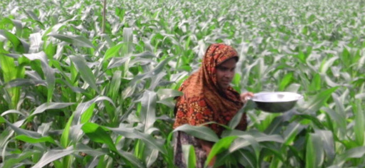 food security image 1 food security image 1